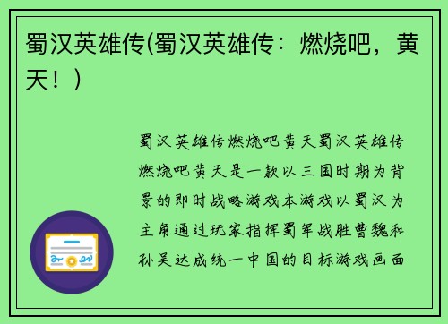 蜀汉英雄传(蜀汉英雄传：燃烧吧，黄天！)